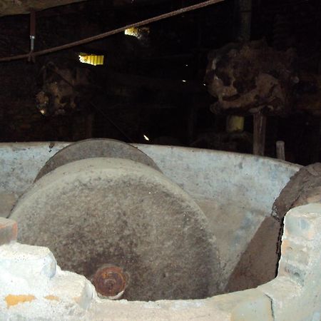 Parque Tematico Vale De Mouro Villa Eksteriør bilde