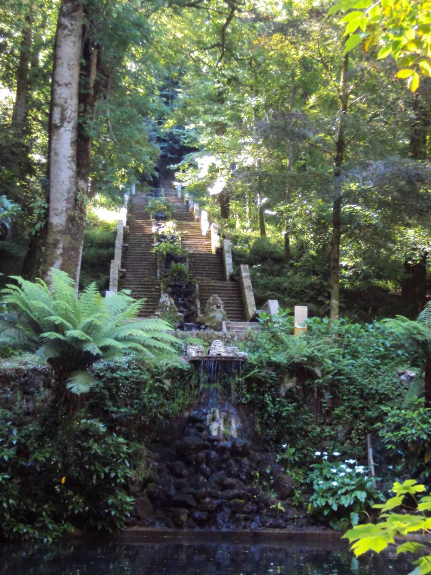 Parque Tematico Vale De Mouro Villa Eksteriør bilde