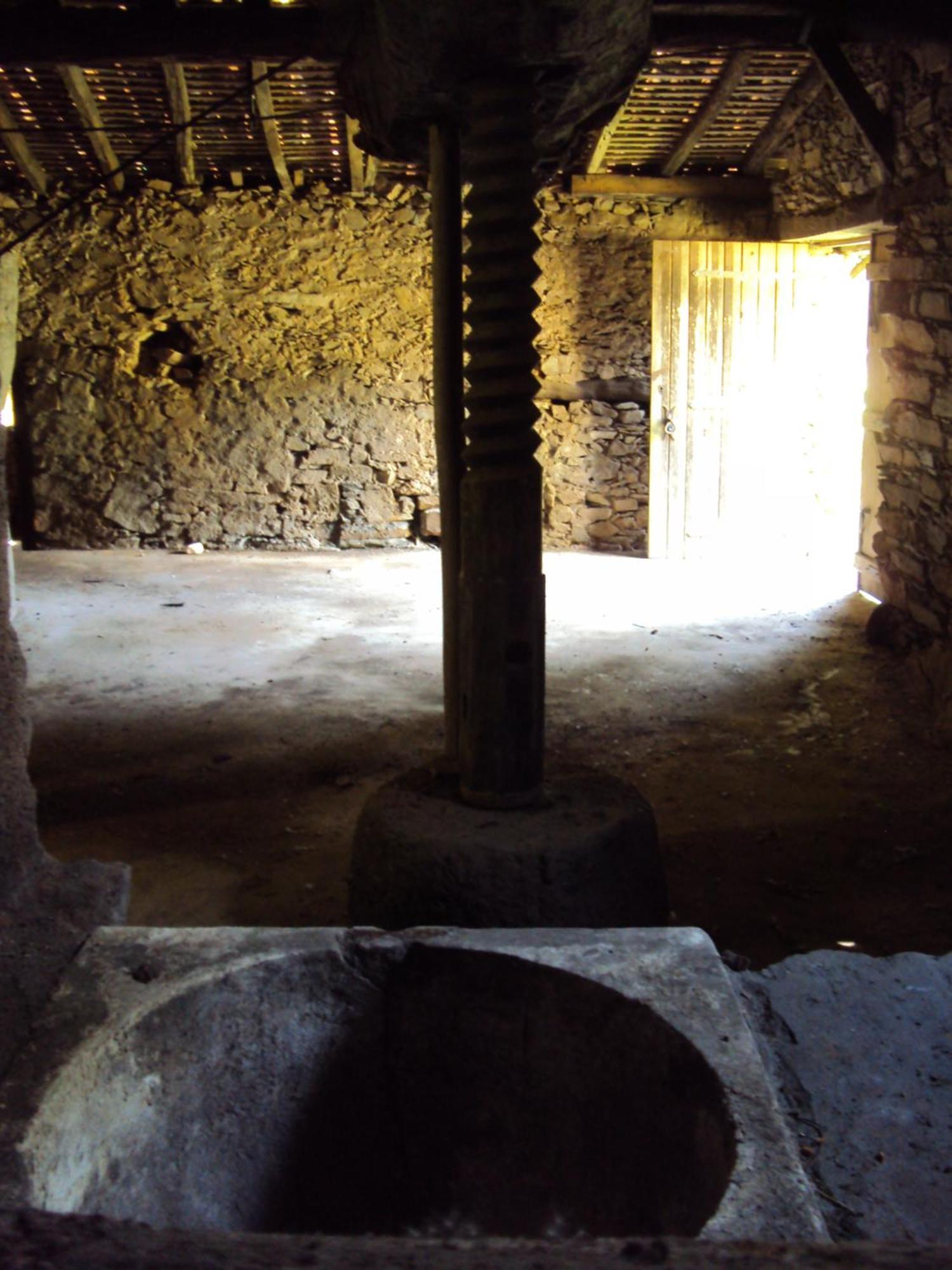 Parque Tematico Vale De Mouro Villa Eksteriør bilde